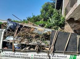 Best Hoarding Cleanup  in Pevely, MO